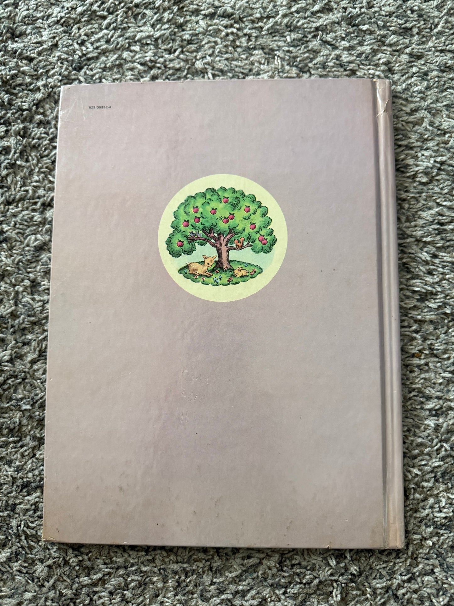 MY BIBLE BOOK